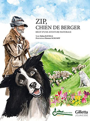 Zip, chien de berger