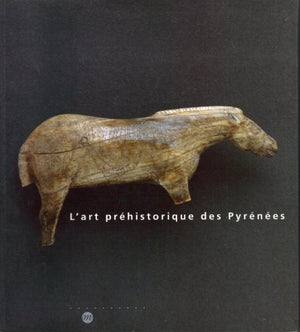 art prehistorique des pyrenees