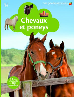 Chevaux et poneys