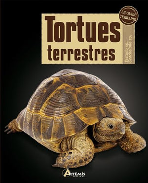 Tortues terrestres