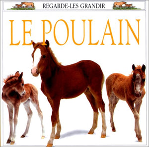 Le poulain