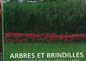 Arbres et brindilles