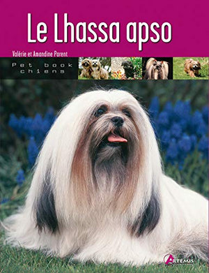 Le lhassa apso