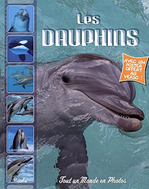 Les dauphins