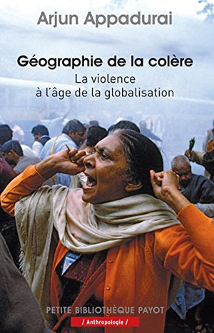 Géographie de la colère: La violence à l'âge de la globalisation