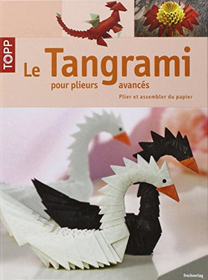 Le Tangrami pour plieurs avancés