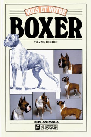 Vous et votre Boxer