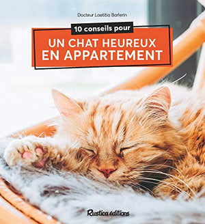 10 conseils pour un chat heureux de vivre en appartement