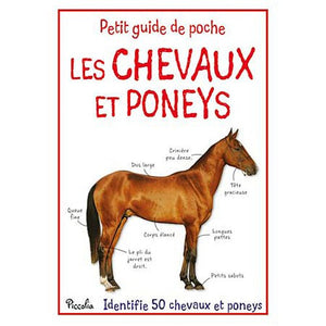 Les chevaux et les poneys