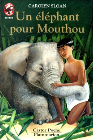 Un éléphant pour Mouthou