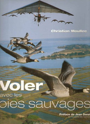 Voler avec les oies sauvages