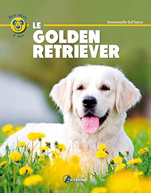 Le golden retriever