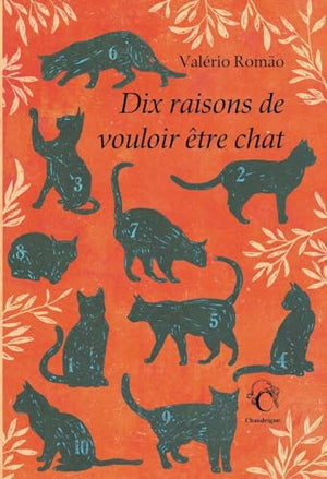 Dix raisons de vouloir être chat