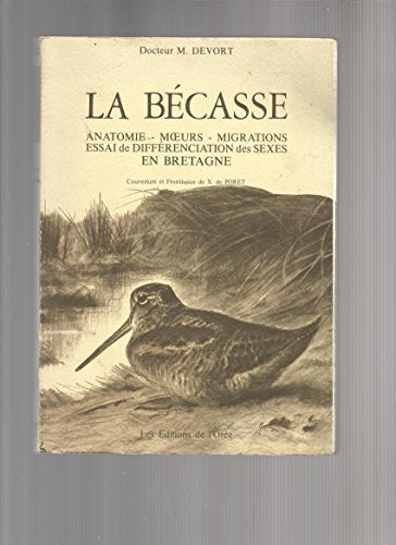 La bécasse