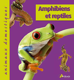 Amphibiens et reptiles