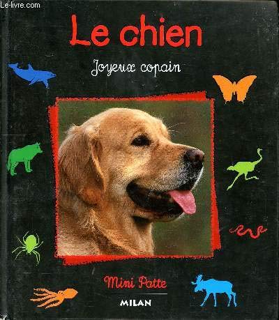 Chien joyeux copain