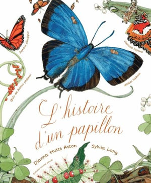 L'histoire d'un papillon