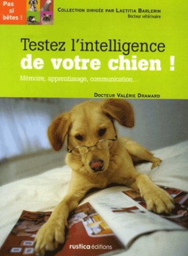 Testez l'intelligence de votre chien