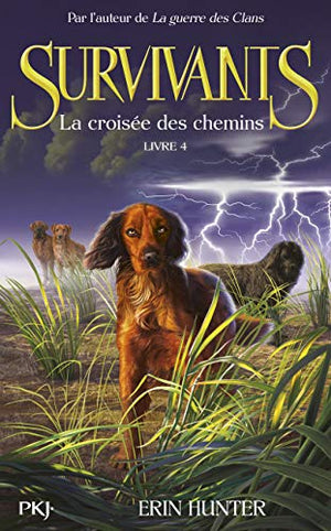 Survivants : La croisée des chemins