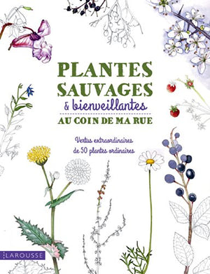 Plantes sauvages & bienveillantes au coin de ma rue