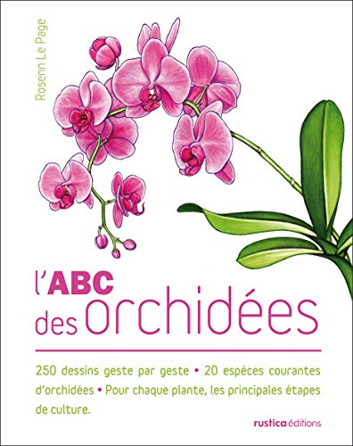 L'ABC des orchidées: 250 dessins geste par geste - 20 espèces courantes d'orchidées - Pour chaque plante, les principales