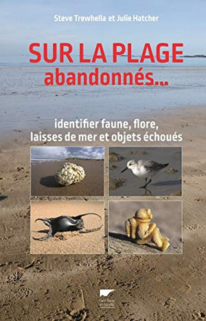 Sur la plage abandonnés...: Identifier faune, flore, laisses de mer et objets échoués