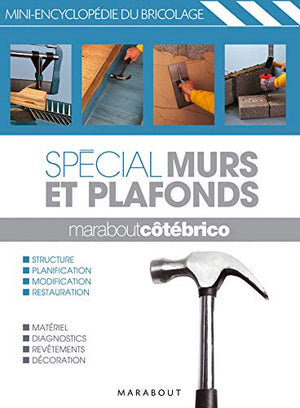 Spécial murs et plafonds