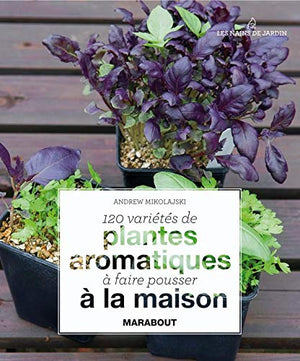 120 plantes aromatiques à la maison