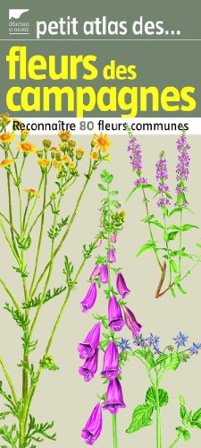 Petit atlas des fleurs des campagnes: Reconnaître 80 fleurs communes