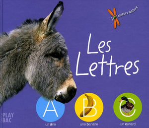 Les lettres