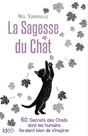 La sagesse du chat