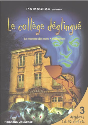 Le collège déglingué