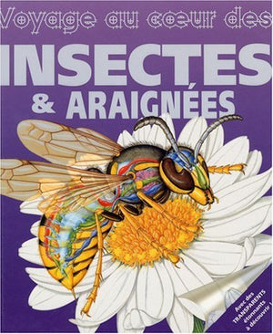 Voyage au coeur des insectes et araignées