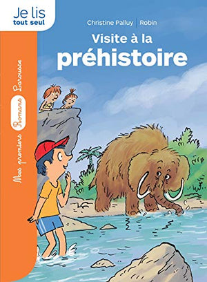 La pierre du temps : Visite à la préhistoire