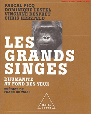 Les grands singes