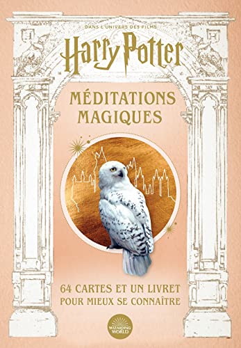 Harry Potter, méditations magiques