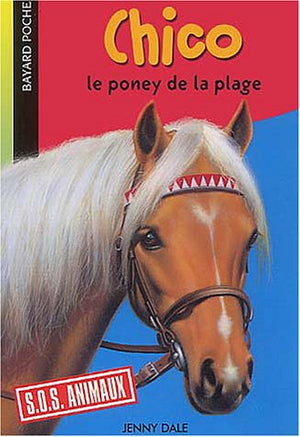 Chico le poney de la plage