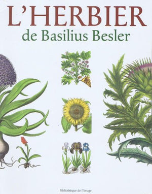 Herbier de Basilius Besler