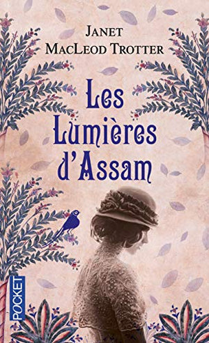 Les lumières d'Assam