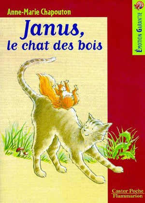 Janus, le chat des bois