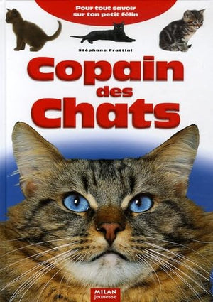 Copain des Chats