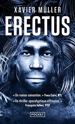 Erectus