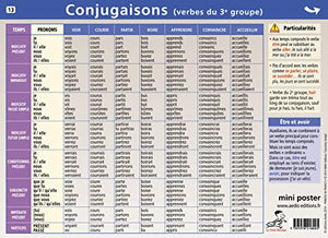 13.Conjugaisons - Mini Poster Le Petit Nicolas