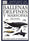 BALLENAS DELFINES Y MARSOPAS.MAN.IDENT. (GUIAS DEL NATURALISTA-PECES-MOLUSCOS-BIOLOGIA MARINA)