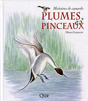 Plumes & pinceaux : Histoires de canards