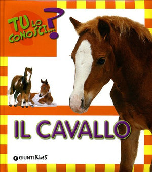 Il cavallo