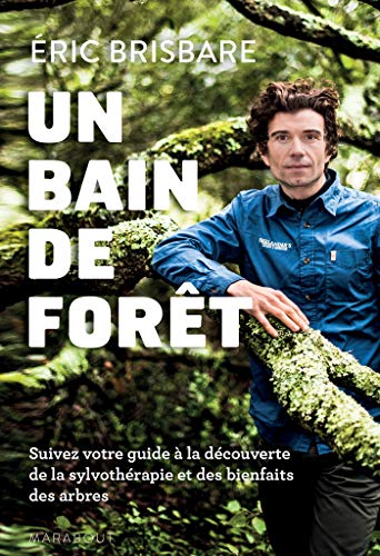 Un bain de forêt : le Shinrin Yoku à la française