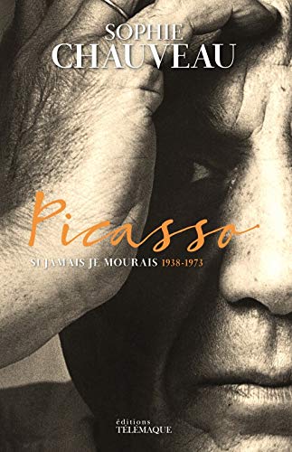 Picasso - tome 2 (2)
