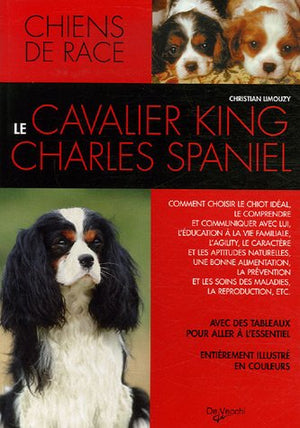 Le Cavalier King Charles