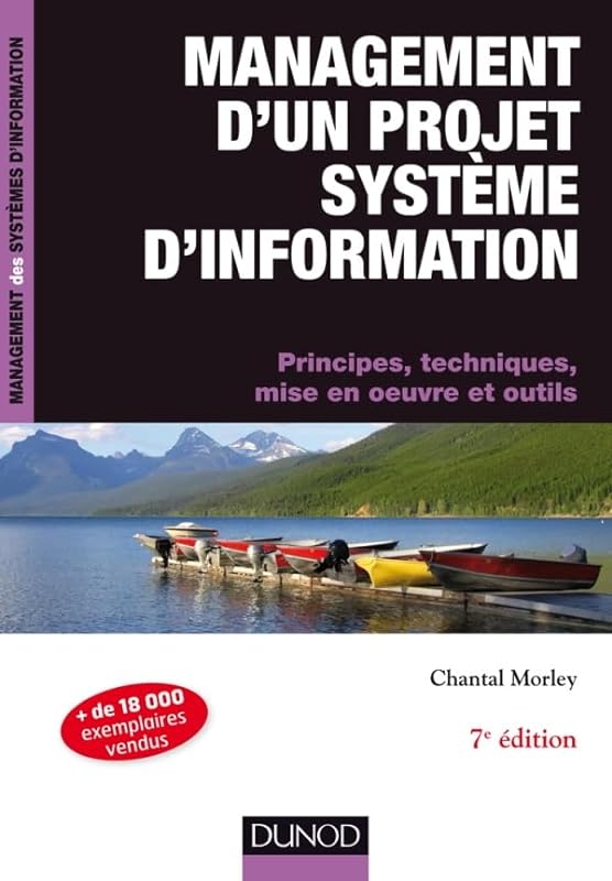 Management d'un projet système d'information